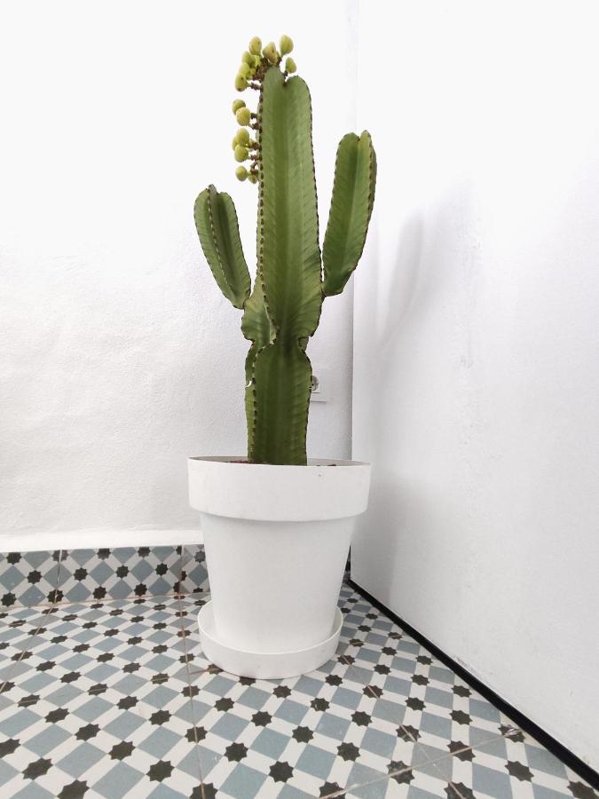 Apartmán Jimaral Vejer de la Frontera Exteriér fotografie