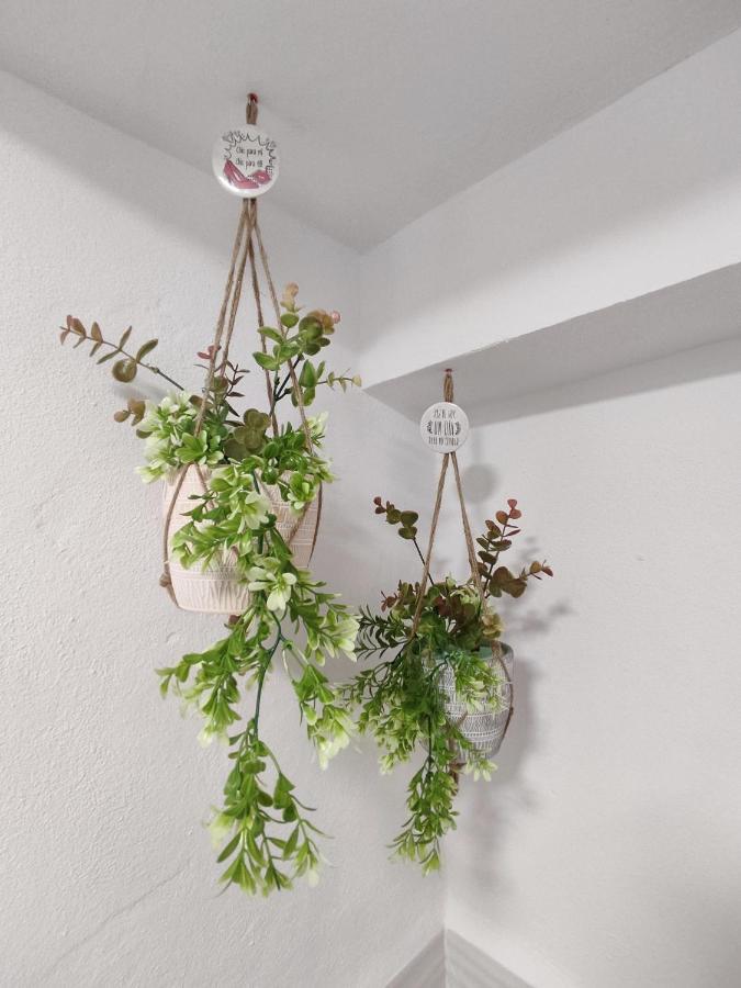 Apartmán Jimaral Vejer de la Frontera Exteriér fotografie